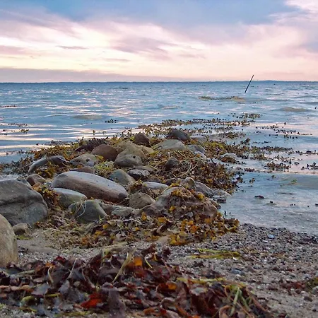 18 Person In Bogense