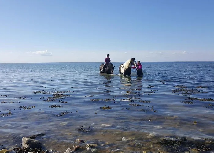 18 Person In Сasa de vacaciones *