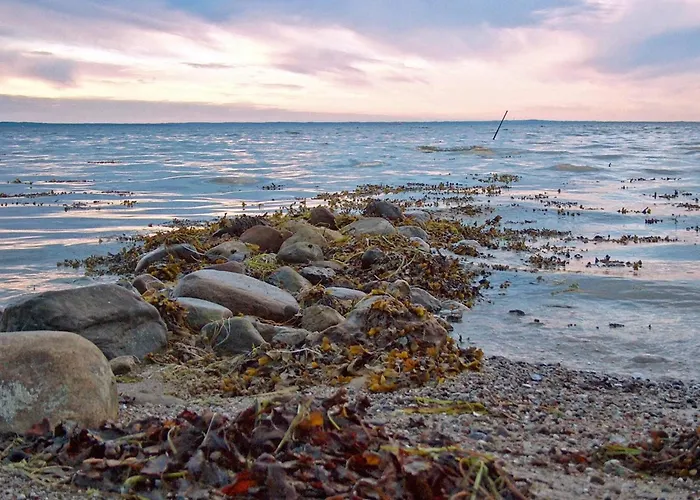 18 Person In Bogense