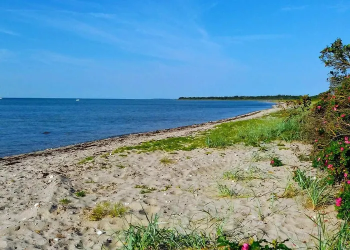 18 Person In Сasa de vacaciones Bogense